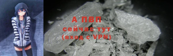герыч Пересвет