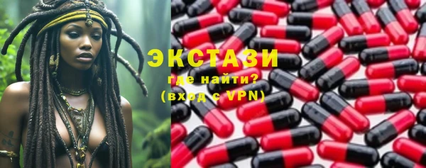 гашик Пестово
