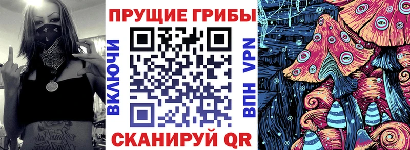 shop наркотические препараты  blacksprut как войти  Клин  купить   Псилоцибиновые грибы Psilocybine cubensis 
